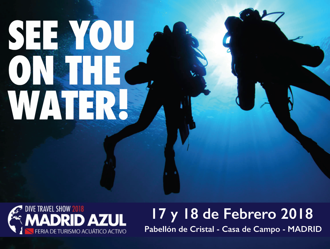 Cartel de la feria Madrid Azul 2018