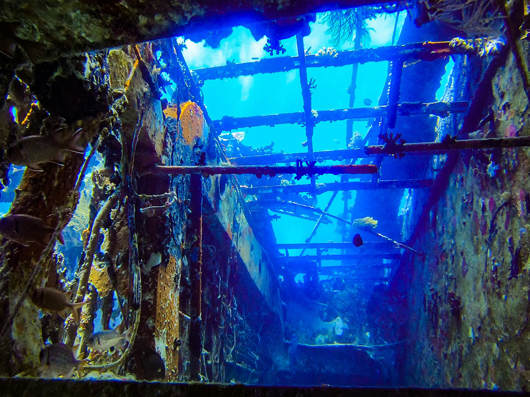 Inmersión en pecio en Maldivas