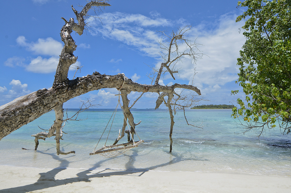 Playa de arena blanca y hamaca bajo la palmera en Bandos Maldives