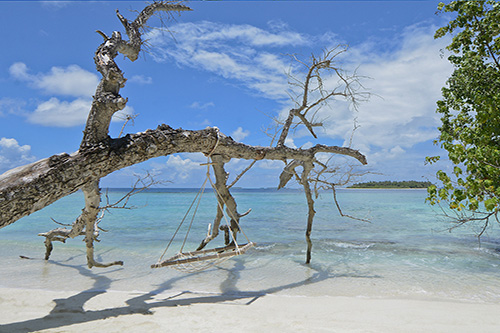 Playa de arena blanca y hamaca bajo la palmera en Bandos Maldives