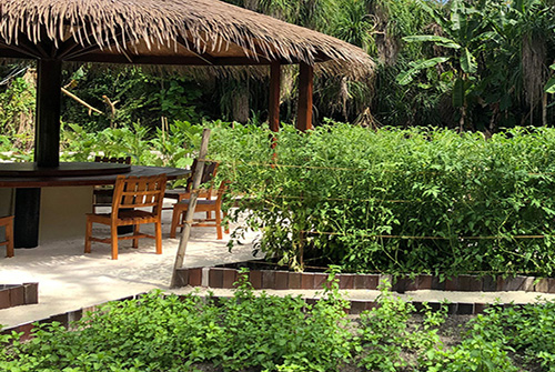 Earth Table, restaurante farm-to-table en The Residence Maldives at Dhigurah