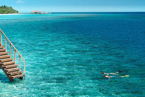 Huésped haciendo snorkel en el arrecife de Vakkaru Maldives