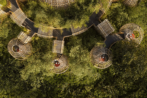 Nidos de bambú de Terra para cenas exclusivas en altura